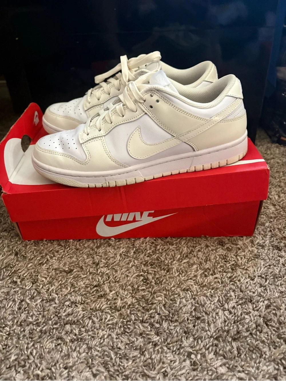 Nike Low-Top Sneakers in White and Cream